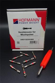 8x Ventileinsatz mit Filter für Auswuchtpulver Auswuchtgranulat Ventilschrauber