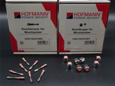 8x Ventileinsatz + 8x Ventilkappe Chrom für Auswuchtpulver Auswuchtgranulat