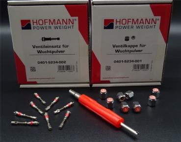 8x Ventileinsatz 8x Ventilkappe Ventilschrauber Auswuchtpulver Auswuchtgranulat