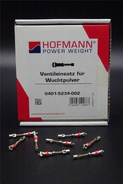 8x Ventileinsatz mit Filter für Auswuchtpulver Auswuchtgranulat Ventil Einsatz