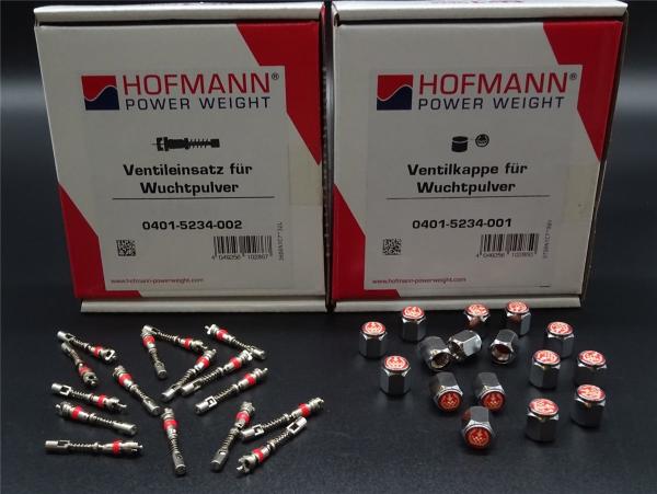 16x Ventileinsatz + 16x Ventilkappe Chrom für Auswuchtpulver Auswuchtgranulat