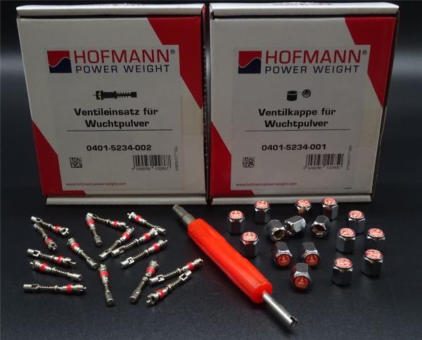 16x Ventileinsatz 16x Ventilkappe Ventilschrauber Auswuchtpulver Auswuchtgranulat